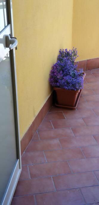 קסטלמולה Borgo San Giorgio Apartment מראה חיצוני תמונה